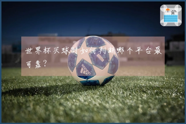 世界杯买球时如何判断哪个平台最可靠？