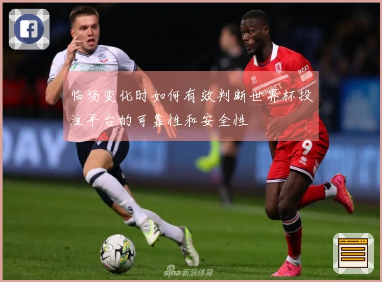 临场变化时如何有效判断世界杯投注平台的可靠性和安全性