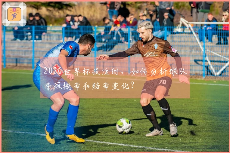 2026世界杯投注时，如何分析球队夺冠概率和赔率变化？