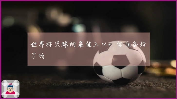 世界杯买球的最佳入口，你准备好了吗