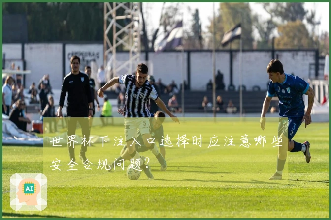世界杯下注入口选择时应注意哪些安全合规问题?