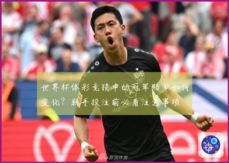 世界杯体彩竞猜中的冠军赔率如何变化？新手投注前必看注意事项