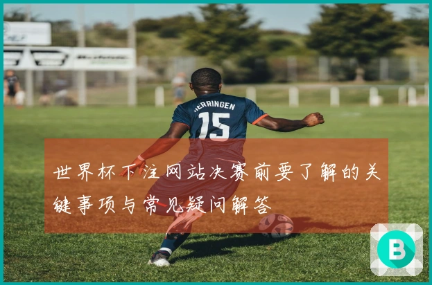 世界杯下注网站决赛前要了解的关键事项与常见疑问解答