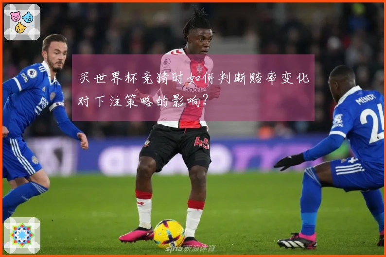 买世界杯竞猜时如何判断赔率变化对下注策略的影响？