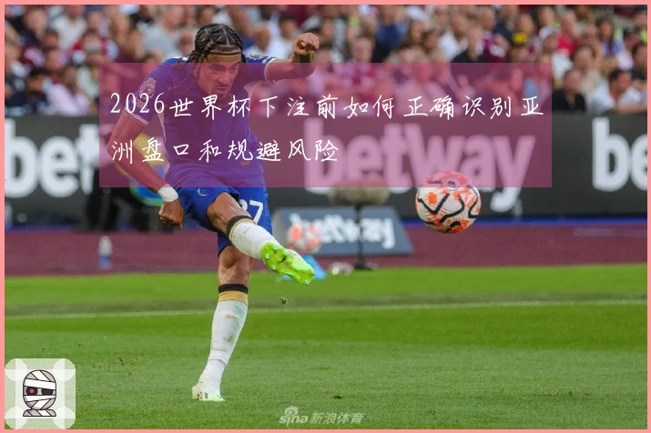 2026世界杯下注前如何正确识别亚洲盘口和规避风险