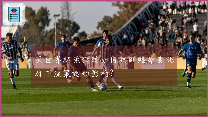 买世界杯竞猜时如何判断赔率变化对下注策略的影响？