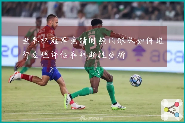世界杯冠军竞猜时热门球队如何进行合理评估和判断性分析
